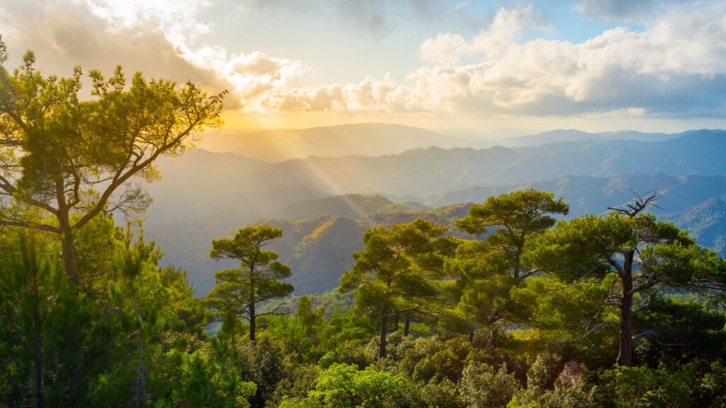 Discover the best off-roading destinations in Cyprus with a Suzuki Jimny rental from Rospensa Car Rental Limassol. Explore mountains, beaches, and hidden trails!