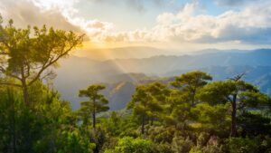 Discover the best off-roading destinations in Cyprus with a Suzuki Jimny rental from Rospensa Car Rental Limassol. Explore mountains, beaches, and hidden trails!